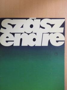 Szász Endre festőművész kiállítása a Vigadó Galériában [antikvár]