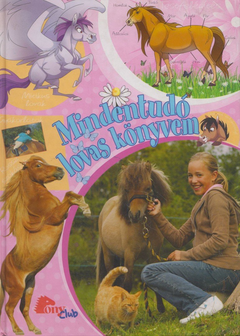 Ardina Strüwer, Annika Johnsson, Randi-Tone Overskeid - Mindentudó lovas könyvem [antikvár]