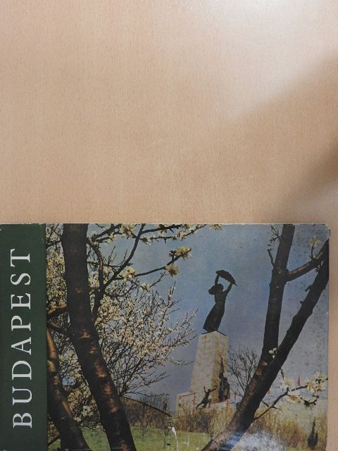 Halász Zoltán - Budapest [antikvár]