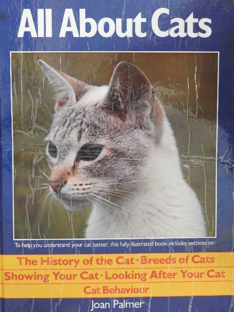 Joan Palmer - All About Cats [antikvár]