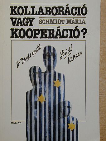 Schmidt Mária - Kollaboráció vagy kooperáció? [antikvár]