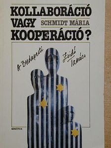 Schmidt Mária - Kollaboráció vagy kooperáció? [antikvár]