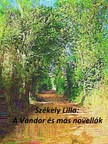 Székely Lilla - A vándor és más novellák [eKönyv: epub, mobi, pdf]