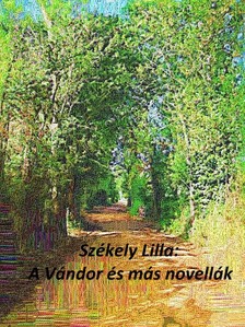 Székely Lilla - A vándor és más novellák [eKönyv: epub, mobi, pdf]