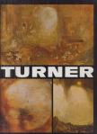Vasile Nicolescu - Turner [antikvár]