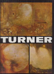 Vasile Nicolescu - Turner [antikvár]