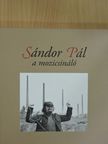 Kelecsényi László - Sándor Pál a mozicsináló [antikvár]
