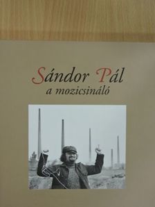 Kelecsényi László - Sándor Pál a mozicsináló [antikvár]