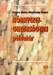 Bisztriczky József, Csutora Mária - Környezetgazdaságtan példatár [antikvár]