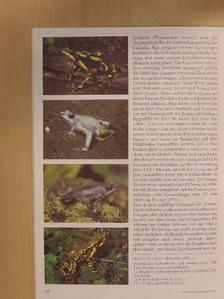 Felix Schütte - Herpetofauna Februar-Dezember 1987. [antikvár]