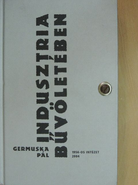 Germuska Pál - Indusztria bűvöletében [antikvár]