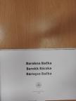 Fábián Borbála - Barokk Bácska [antikvár]