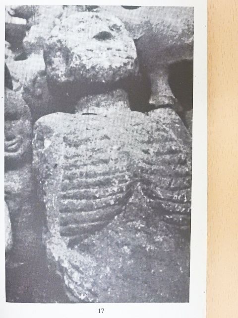 Erich von Däniken - A kozmosz üzenete [antikvár]