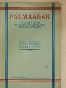 Szántó Róbert - Pálmaágak [antikvár]