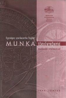 Geiger Tiborné, Szabóné dr. Dénes Éva - Egységes szerkezetbe foglalt Munka Törvénykönyve munkaadói értelmezéssel [antikvár]