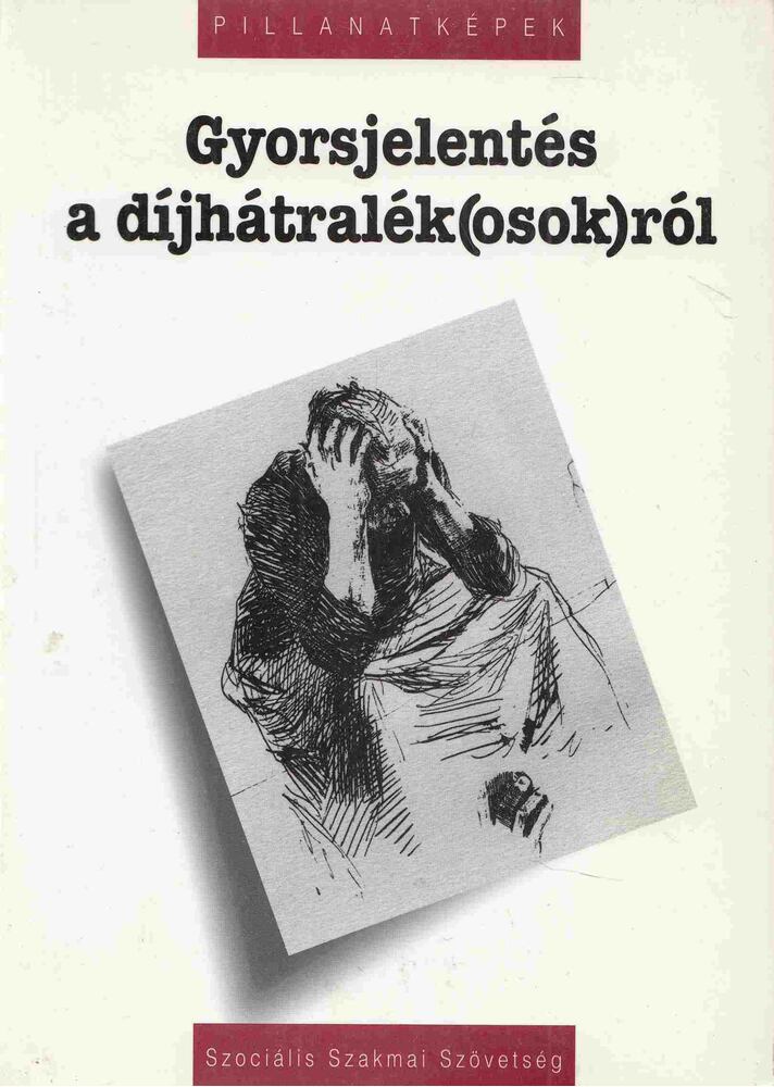 Czike Klára, Vass Péter - Gyorsjelentés a díjhátralék(osok)ról [antikvár]