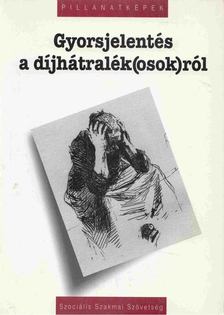 Czike Klára, Vass Péter - Gyorsjelentés a díjhátralék(osok)ról [antikvár]