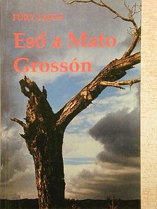 Füry Lajos - Eső a Mato Grossón [antikvár]