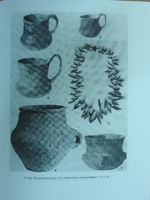 Kalicz Nándor - A Herman Ottó múzeum évkönyve XXXVII. [antikvár]