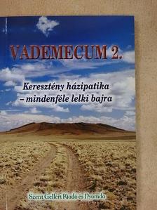 Szabó Levente Gábor - Vademecum 2. [antikvár]