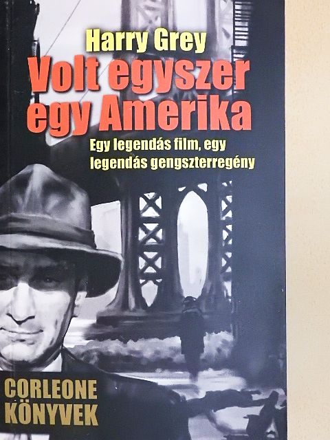 Harry Gray - Volt egyszer egy Amerika [antikvár]
