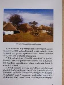 Nagy Endre - Őrségi népi műemlékegyüttes a Szalafői Pityerszeren [antikvár]