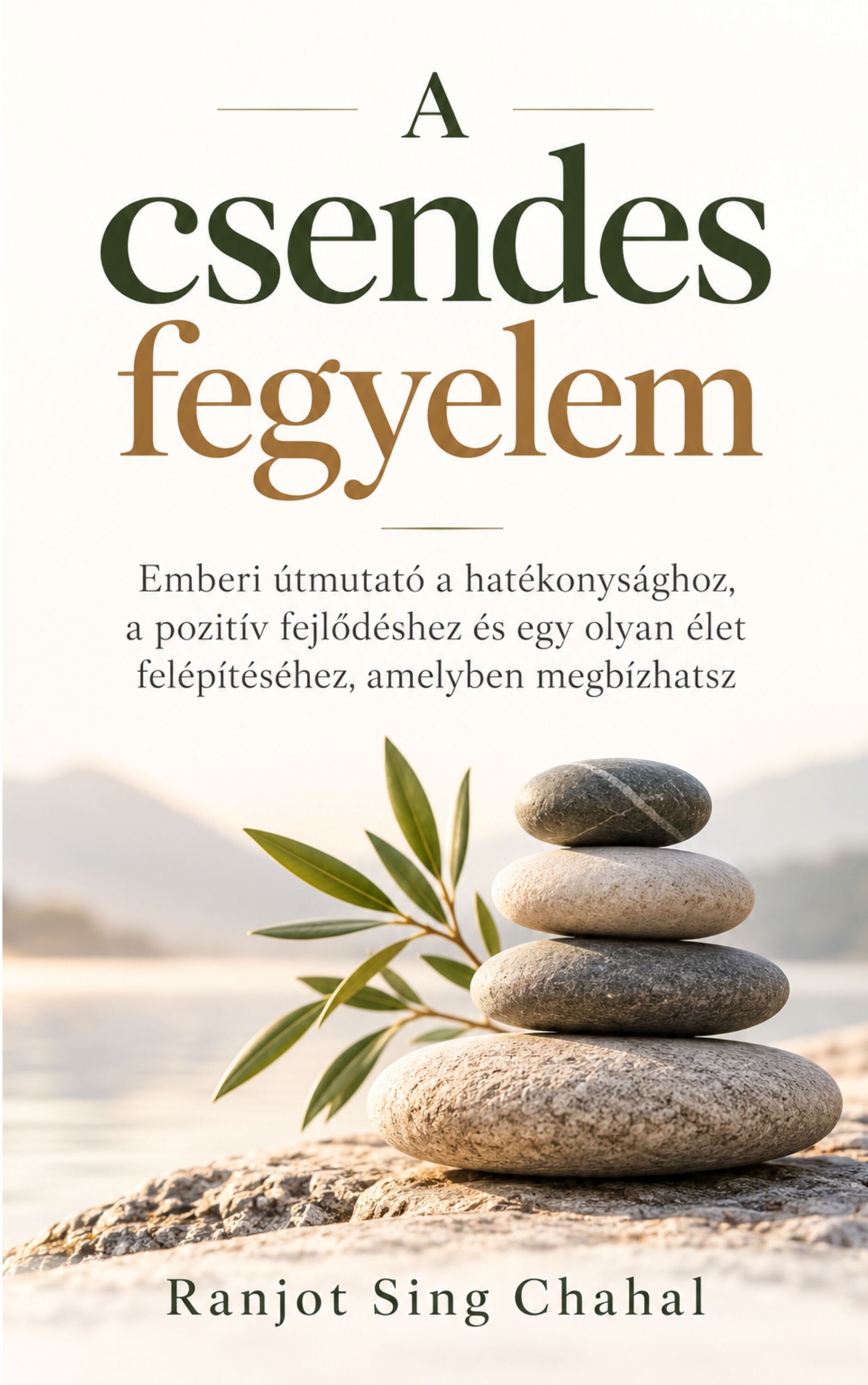 Singh Chahal Ranjot - A csendes fegyelem [eKönyv: epub, mobi]