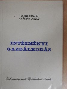 Császár László - Intézményi gazdálkodás [antikvár]