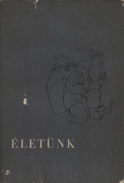 DIÓSZEGI ANDRÁS - Életünk [antikvár]