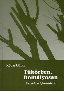 Rédai Gábor - Tükörben, homályosan [antikvár]
