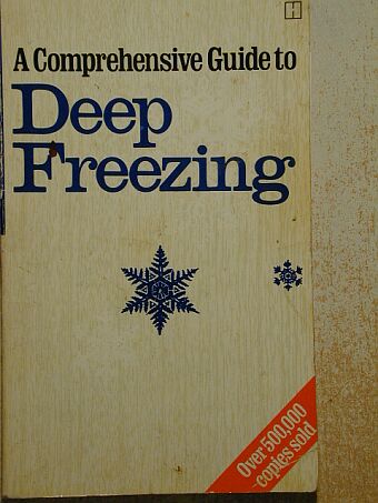 Morag Williams - Deep Freezing [antikvár]
