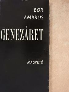 Bor Ambrus - Genezáret [antikvár]