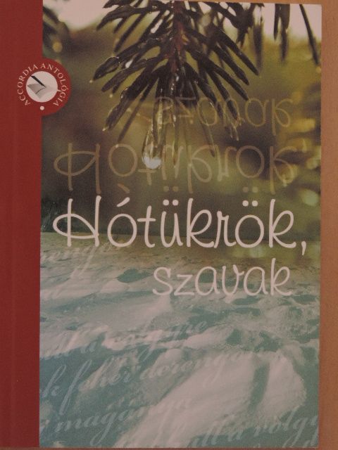B. Zsoffay Klára - Hótükrök, szavak [antikvár]