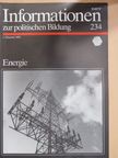 Detlef Rudel - Informationen zur politischen Bildung 234 [antikvár]