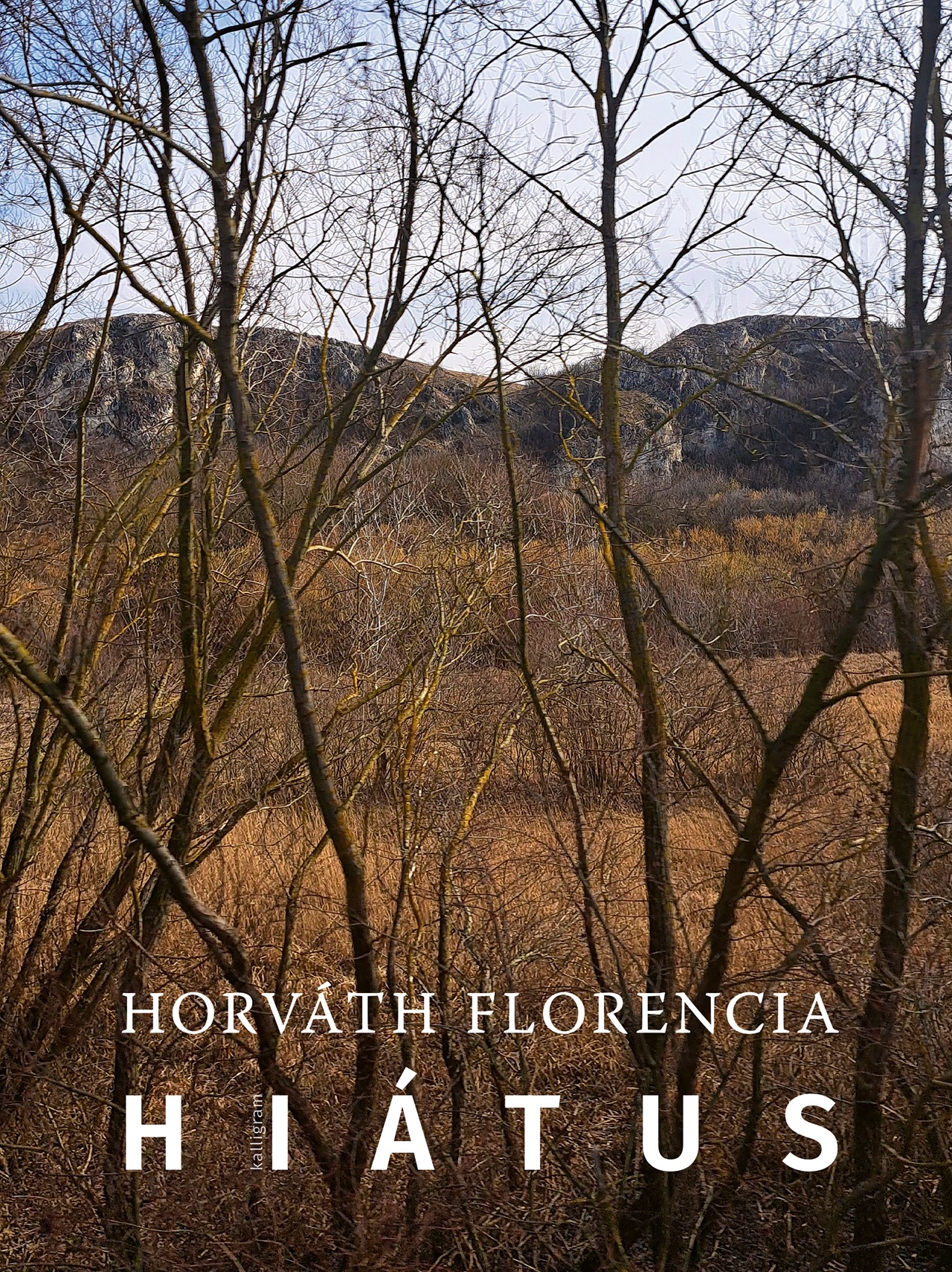 Horváth Florencia - Hiátus [eKönyv: epub, mobi]