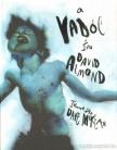 Almond, David - A vadóc [antikvár]
