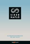 Matthias Hechler - Sikernapló - Hatékonyságnövelés 100 nap alatt
