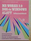 F. Ható Katalin - MS Works 2.0 DOS és Windows alatt felhasználóknak [antikvár]