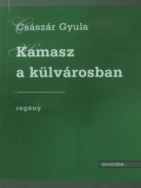 Császár Gyula - Kamasz a külvárosban [antikvár]