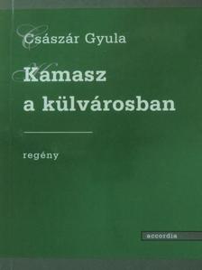 Császár Gyula - Kamasz a külvárosban [antikvár]