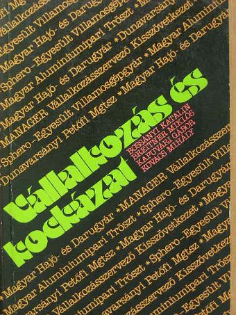 Bossányi Katalin - Vállalkozás és kockázat [antikvár]