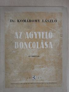 Dr. Kiss Ferencz - Az agyvelő boncolása [antikvár]