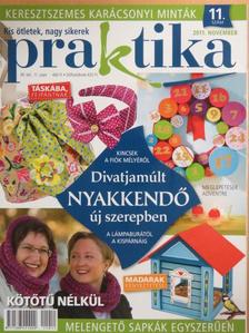 Praktika 2011. november [antikvár]