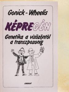 Larry Gonick - Képregén [antikvár]