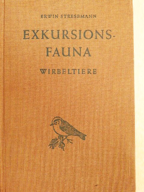Dr. G. Bauch - Exkursionsfauna von Deutschland III. [antikvár]