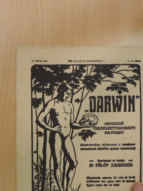 Berecz Vilmos - "Darwin" 1915. julius 15., augusztus 1. [antikvár]