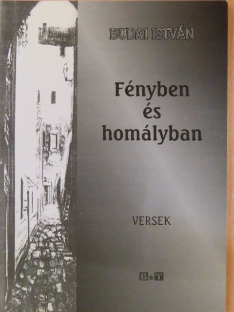 Budai István - Fényben és homályban [antikvár]