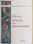 Annus Irén - Spaces in Transition [antikvár]
