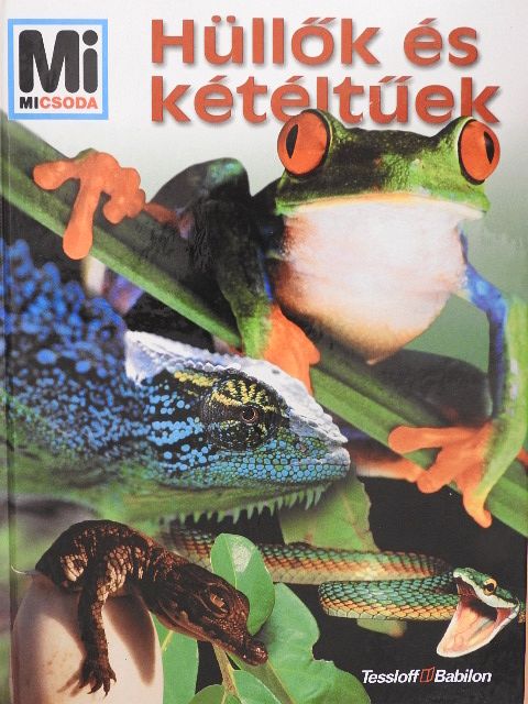 Manfred Niekisch - Hüllők és kétéltűek [antikvár]
