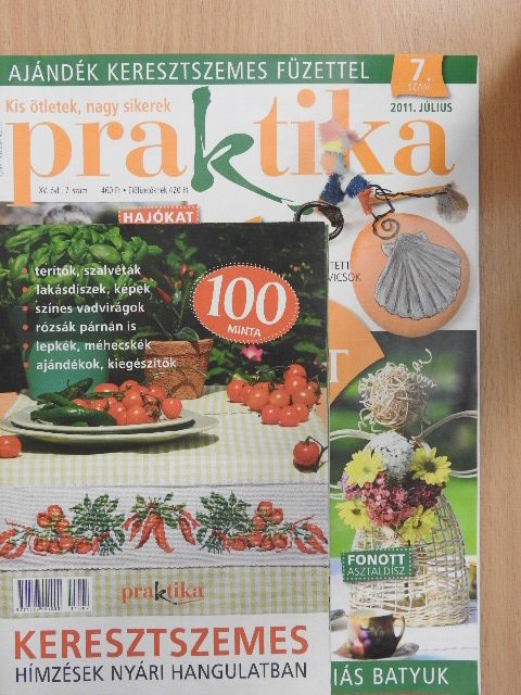 Praktika 2011. július [antikvár]